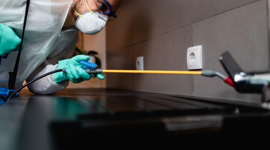 Why choose Monthly Mosquito Treatment Plans Avondale for monthly mosquito treatment plans in Avondale